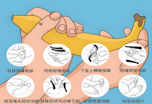 陰莖能鍛煉嗎?男性生殖器健康鍛煉方法